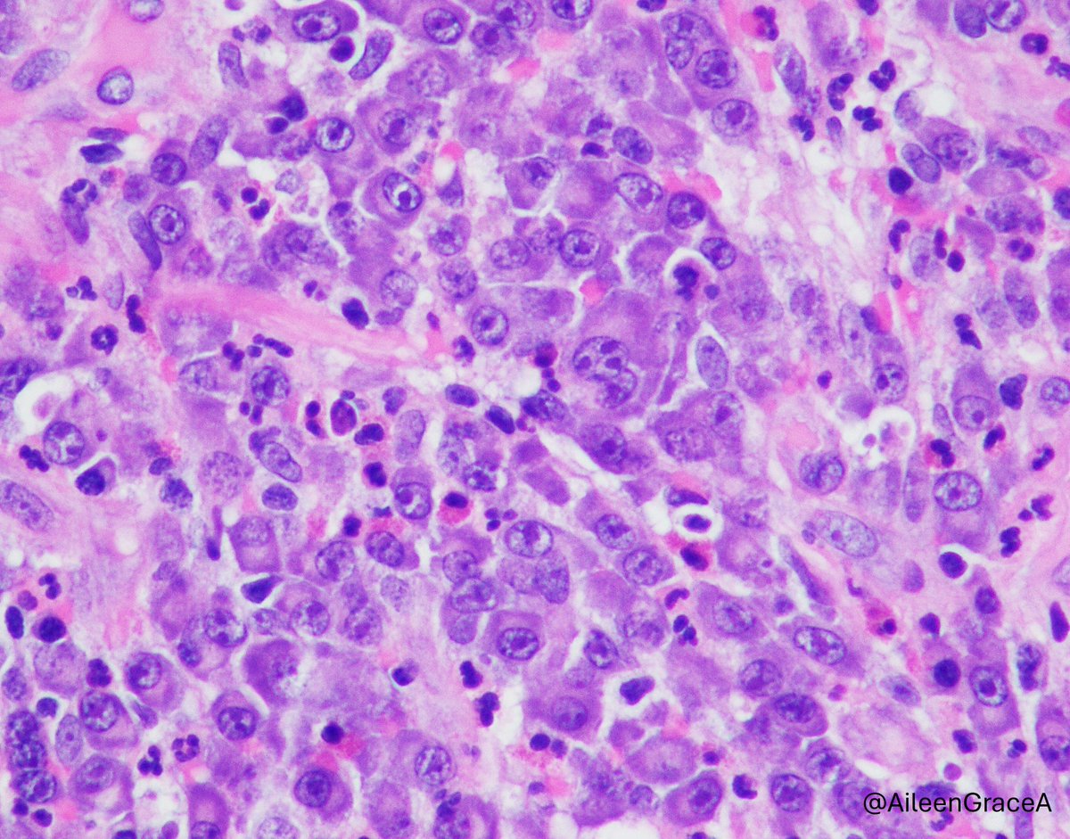 CooperPathology tweet media