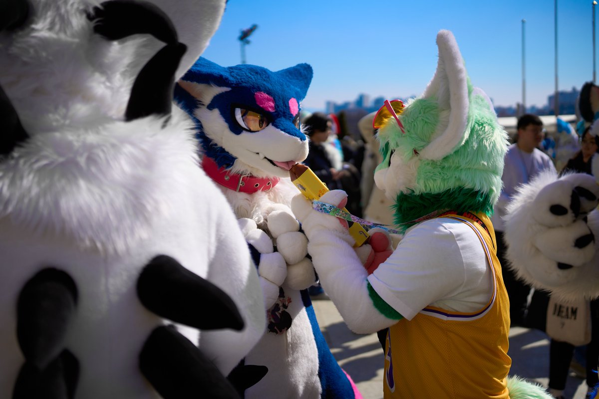 K-LINE helps K-LINE
#FurryJoA2025