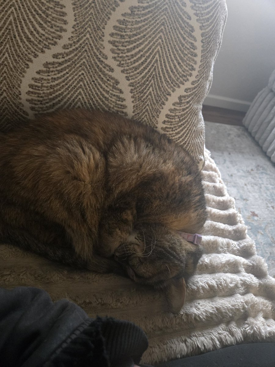 I wish I can curl up like this and just sleep😭