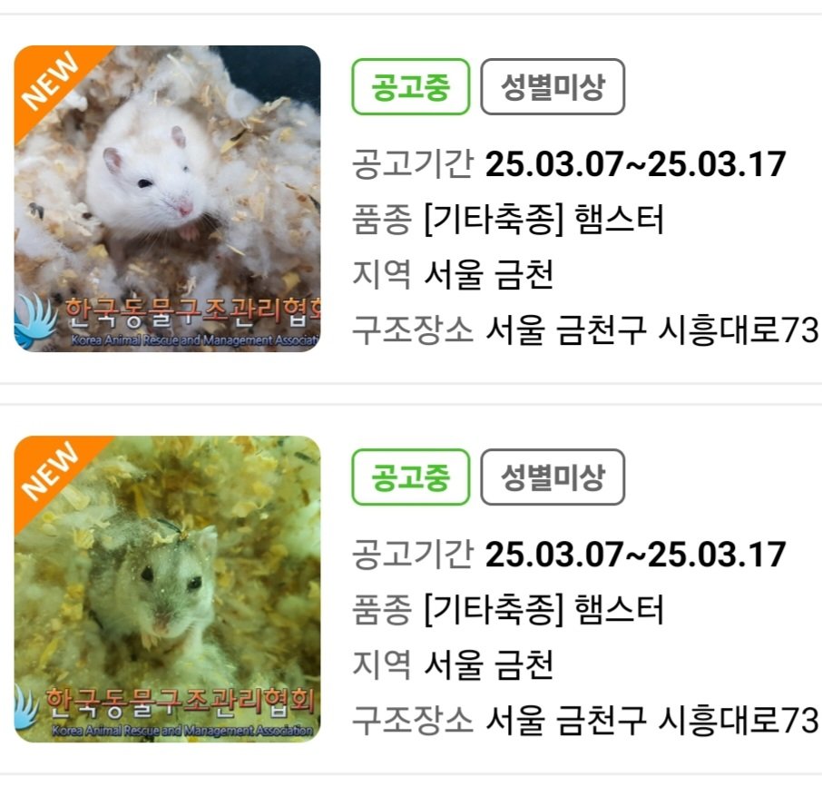 컷오프 프로젝트 tweet media