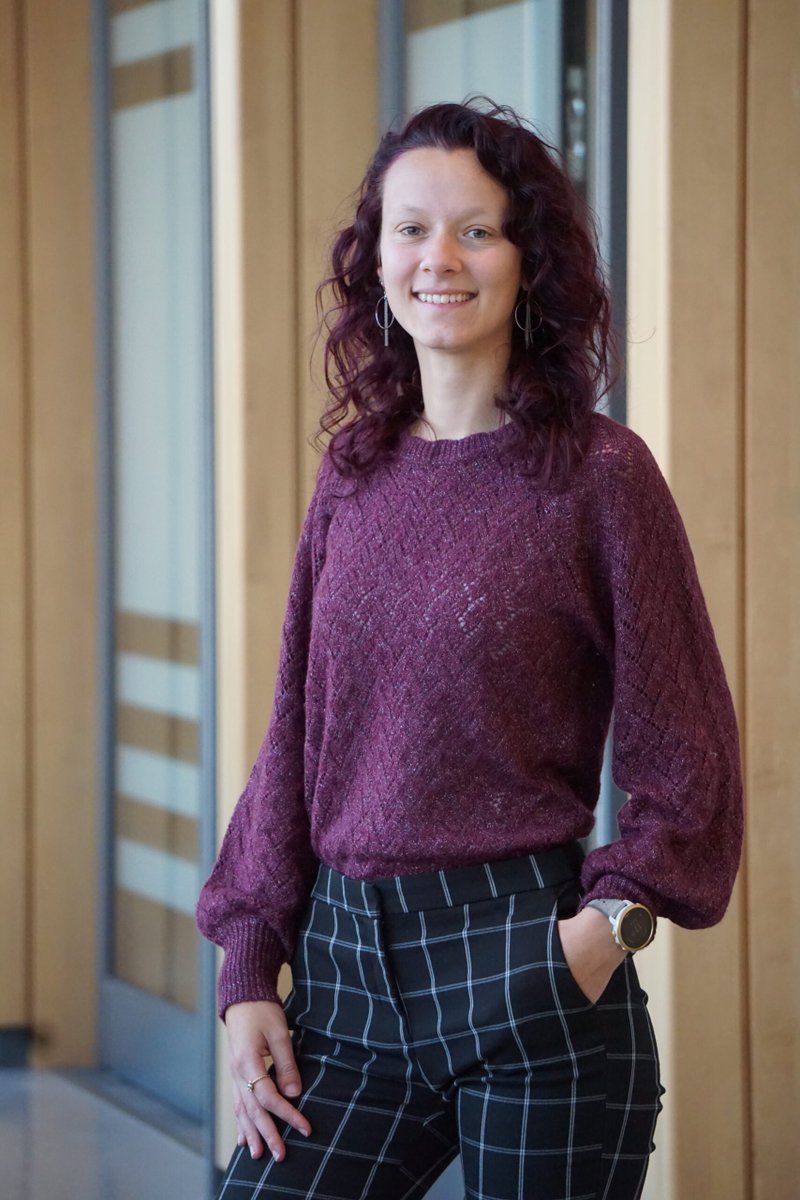 "Compétences culturelles ou compétences interculturelles?", retour de stage de Nolwenn Gonzalez labrri.net/competences-cu…