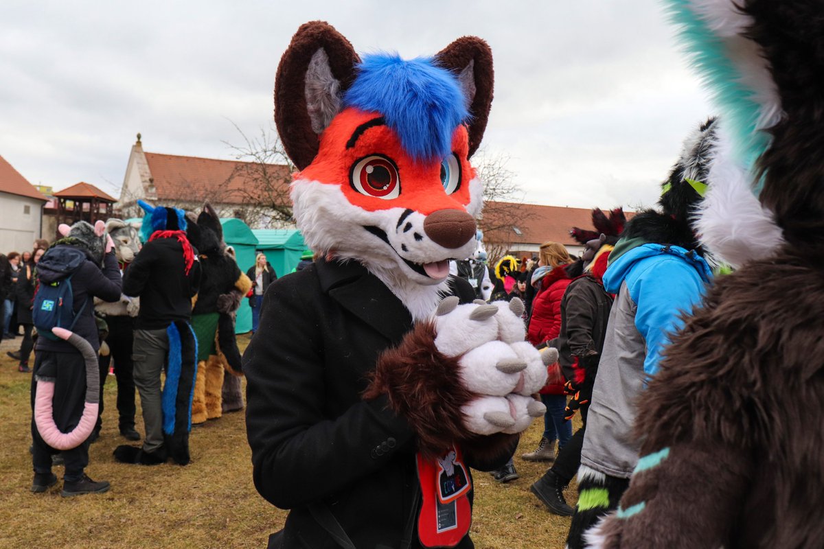 Cophie (@cophie11) on Twitter photo Sooo... I'll receive a cookie for a hug? It's a deal!
📷 <a href="/lukybollard/">Luky Bollard</a>
✂️ @R5suits
#FursuitFriday #furry #Fursuit Sooo... I'll receive a cookie for a hug? It's a deal!
📷 <a href="/lukybollard/">Luky Bollard</a>
✂️ @R5suits
#FursuitFriday #furry #Fursuit