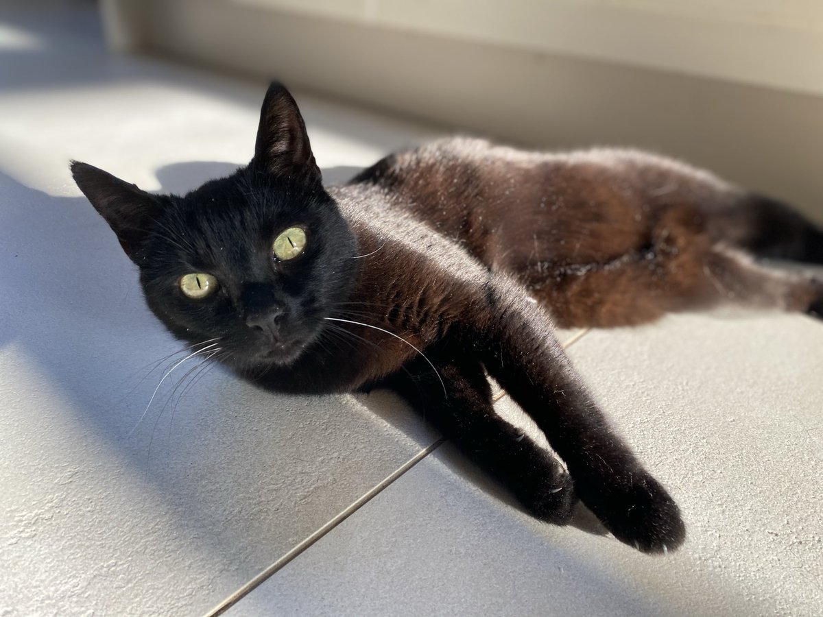 Lizzie Glithero-West tweet media