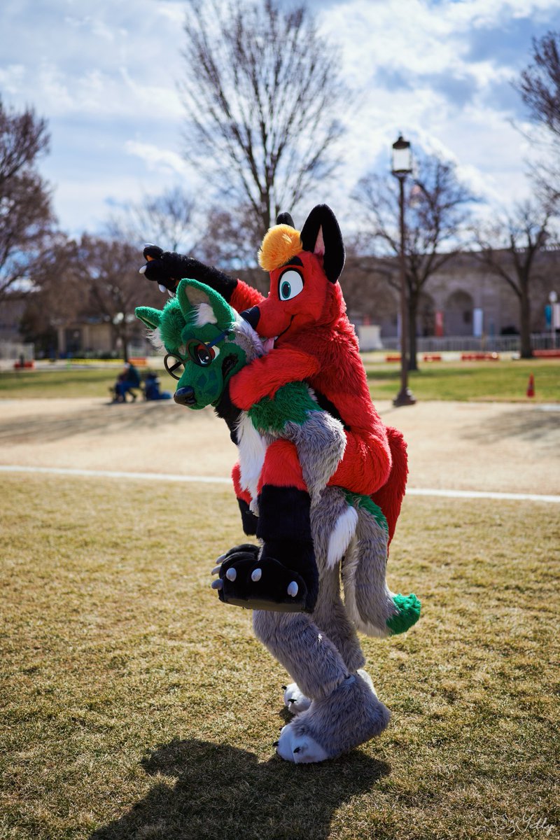 "Onwards! I don't know where to, but I love an adventure!" #FursuitFriday 

🦊 - <a href="/YutuTheFox/">Yutu Fox</a> 
📷 - <a href="/yellyXP/">YellyXP</a>