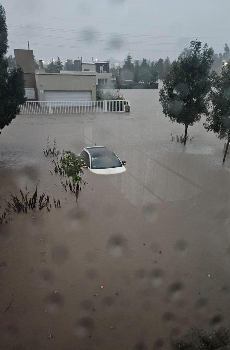Cristina Fernández de Kirchner (@joacocge22) on Twitter photo Estas imágenes son de Bahía Blanca. ¿Vas a hacer algo <a href="/JMilei/">Javier Milei</a> ? ¿O los argentinos tenemos que acostumbrarnos a que los recursos se pudran en galpones mientras viajas por el mundo para cumplir tu sueño de ser rockstar? Estas imágenes son de Bahía Blanca. ¿Vas a hacer algo <a href="/JMilei/">Javier Milei</a> ? ¿O los argentinos tenemos que acostumbrarnos a que los recursos se pudran en galpones mientras viajas por el mundo para cumplir tu sueño de ser rockstar?