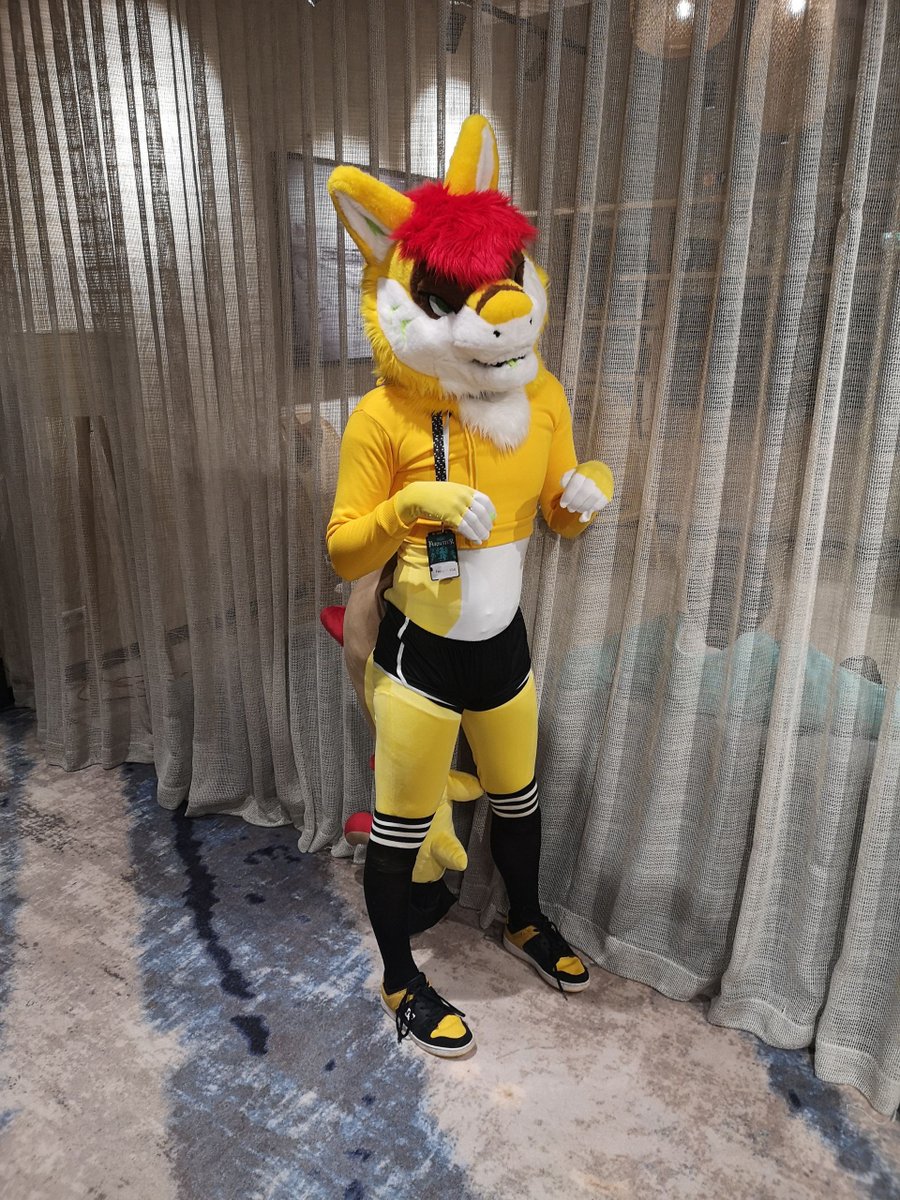 Flavius the Doggo (Fepu) (@flaviusfepu) on Twitter photo Hot shark in your area!!!
I've made myself new fursuit with mochi minky body and had a fun fursuiting last week at Gdakon.
My commissions acc: <a href="/PawsNPillows/">Paws'N'Pillows</a>
#furry #fursuit #PawsNPillows Hot shark in your area!!!
I've made myself new fursuit with mochi minky body and had a fun fursuiting last week at Gdakon.
My commissions acc: <a href="/PawsNPillows/">Paws'N'Pillows</a>
#furry #fursuit #PawsNPillows