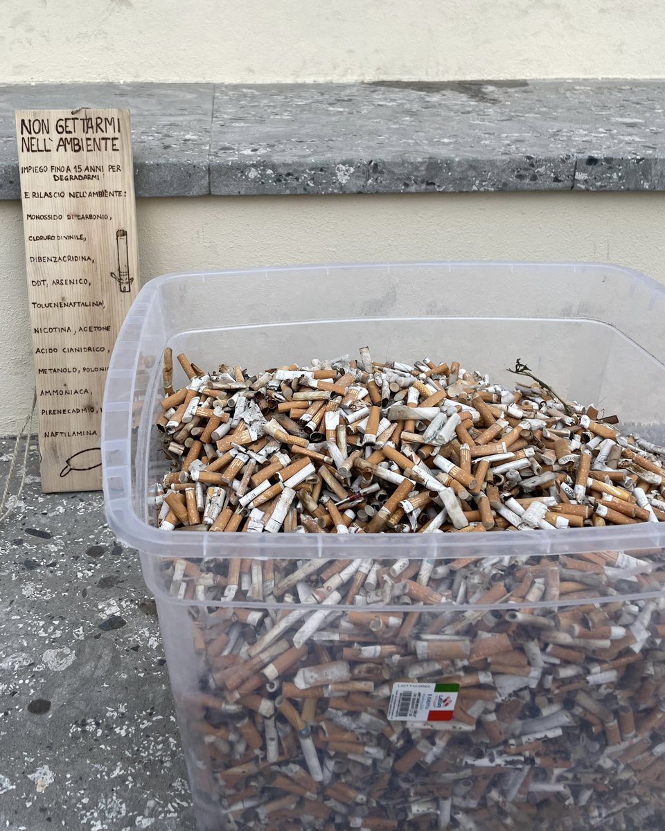 Plastic Free tweet media