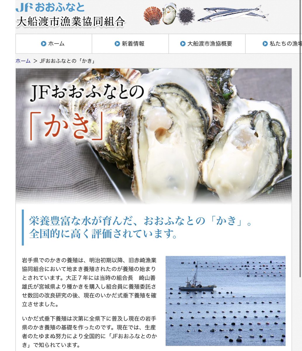 岩手県の牡蠣養殖の発祥の地は、大船渡市の赤崎です。筏式、耳釣り式養殖も
赤崎の牡蠣は豊洲でも築地でも本当にたくさんごく普通に流通してます。
たまに「大船渡」表示もあるけど基本的には綾里のワカメと同じく「(岩手県)赤崎」で流通してます。
※陸前高田のものも牡蠣は「広田」「米崎」等で流通