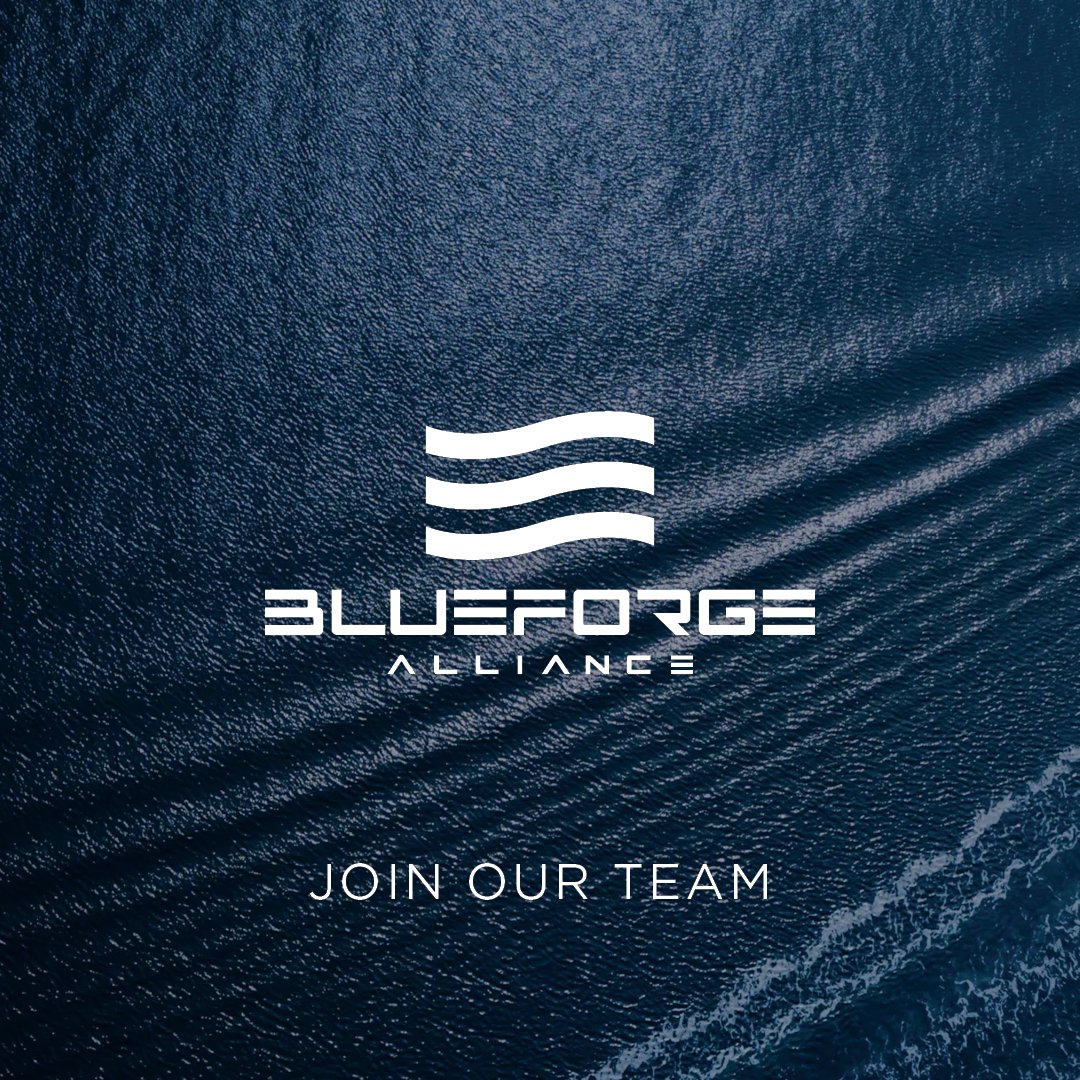 BlueForge Alliance is growing and looking for passionate, driven professionals to join our team &amp; help support our mission. We have openings in technology, marketing &amp; communications, finance, government affairs, and more! 

Ready to join? Apply today! secure7.saashr.com/ta/6202495.car…