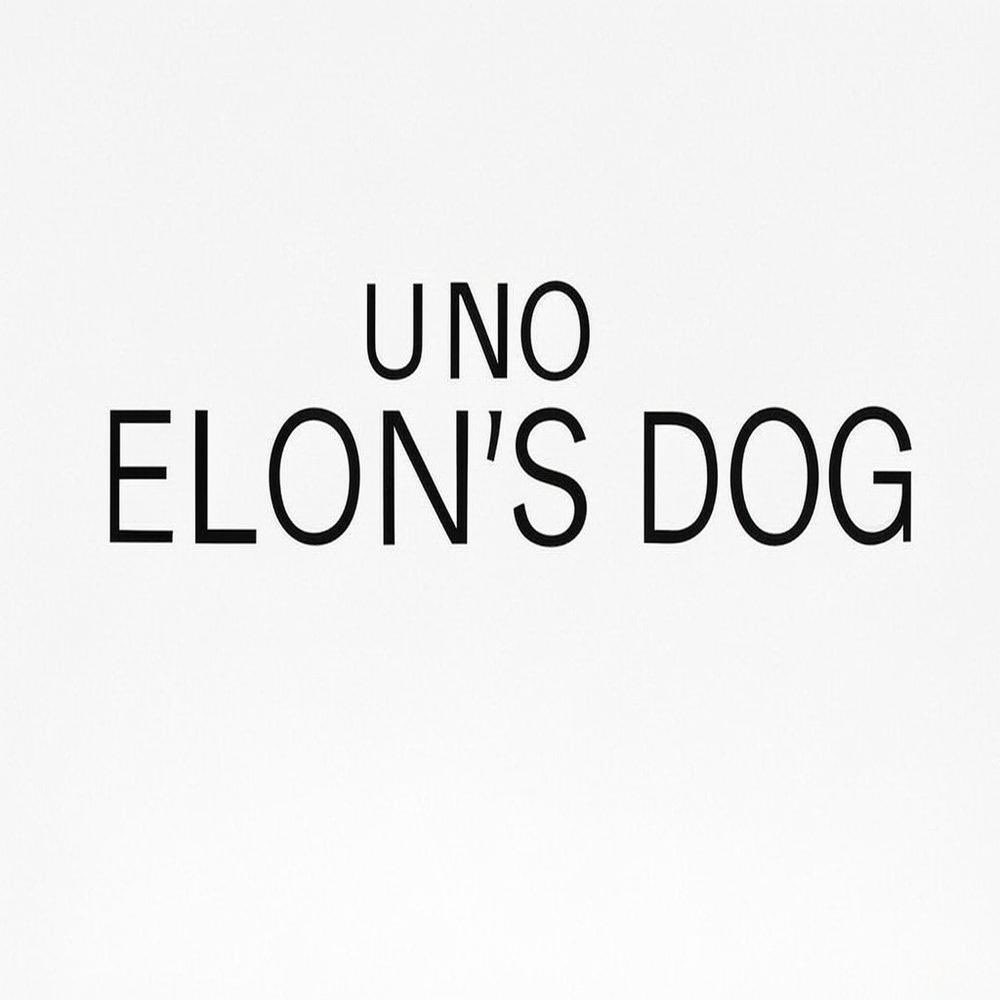 phdprincecto's tweet image. I just paid dex for $UNO let it fly again 🐶

D6whL8BD8hwPAT8MPtHKxScZcq6b4ZtbDUToKAA4pump