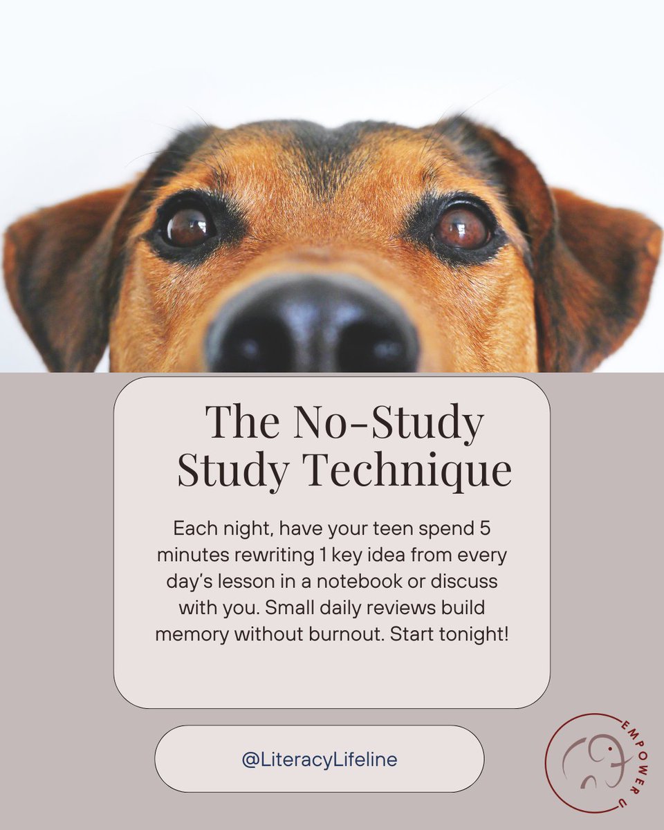 LitLifeline's tweet image. Test woes? 5-min nightly review of every lesson beats cramming. #StudySmart #QuickFixFriday&quot;