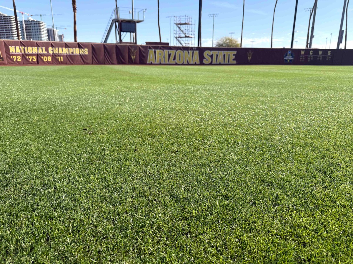 DLF USA (@dlfusa) on Twitter photo Tip of the cap to the always impressive <a href="/ASUGroundsCrew/">ASU Grounds Crew</a>! The overseed at Farrington Stadium looked incredible when our turf team visited last week. #ForksUp #SunDevilSoftball #DLFSeedsAndScience Tip of the cap to the always impressive <a href="/ASUGroundsCrew/">ASU Grounds Crew</a>! The overseed at Farrington Stadium looked incredible when our turf team visited last week. #ForksUp #SunDevilSoftball #DLFSeedsAndScience
