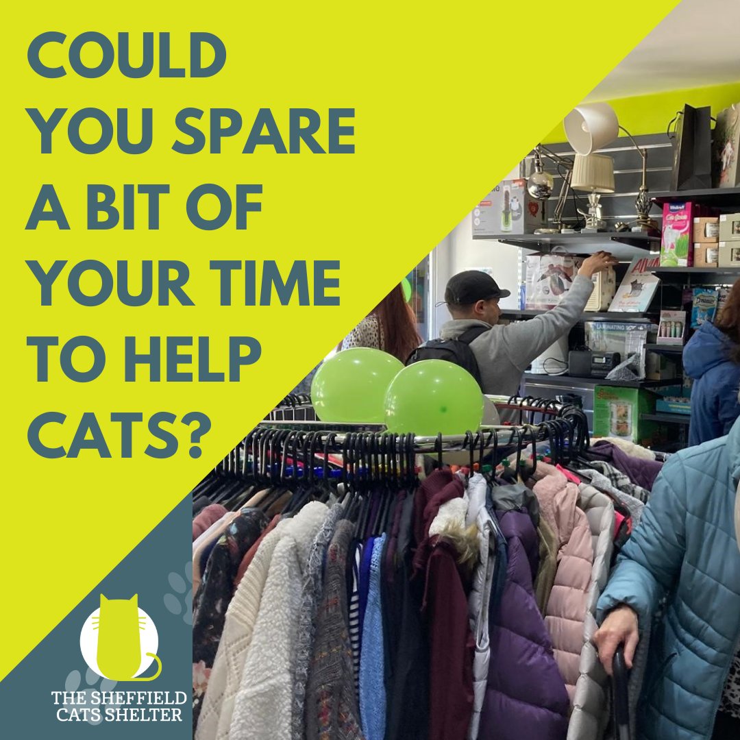 Sheffield Cats Shelter (@catsshelter) on Twitter photo 📢We’re calling on new volunteers to help out at our shops!📢
We need volunteers to help us out at the Broomhill shop on Sundays.
Also, our shop in Hillsborough needs volunteers on Thursdays and Fridays🛍️
If you want to volunteer, please contact vounteer@sheffieldcats.org.uk 📢We’re calling on new volunteers to help out at our shops!📢
We need volunteers to help us out at the Broomhill shop on Sundays.
Also, our shop in Hillsborough needs volunteers on Thursdays and Fridays🛍️
If you want to volunteer, please contact vounteer@sheffieldcats.org.uk