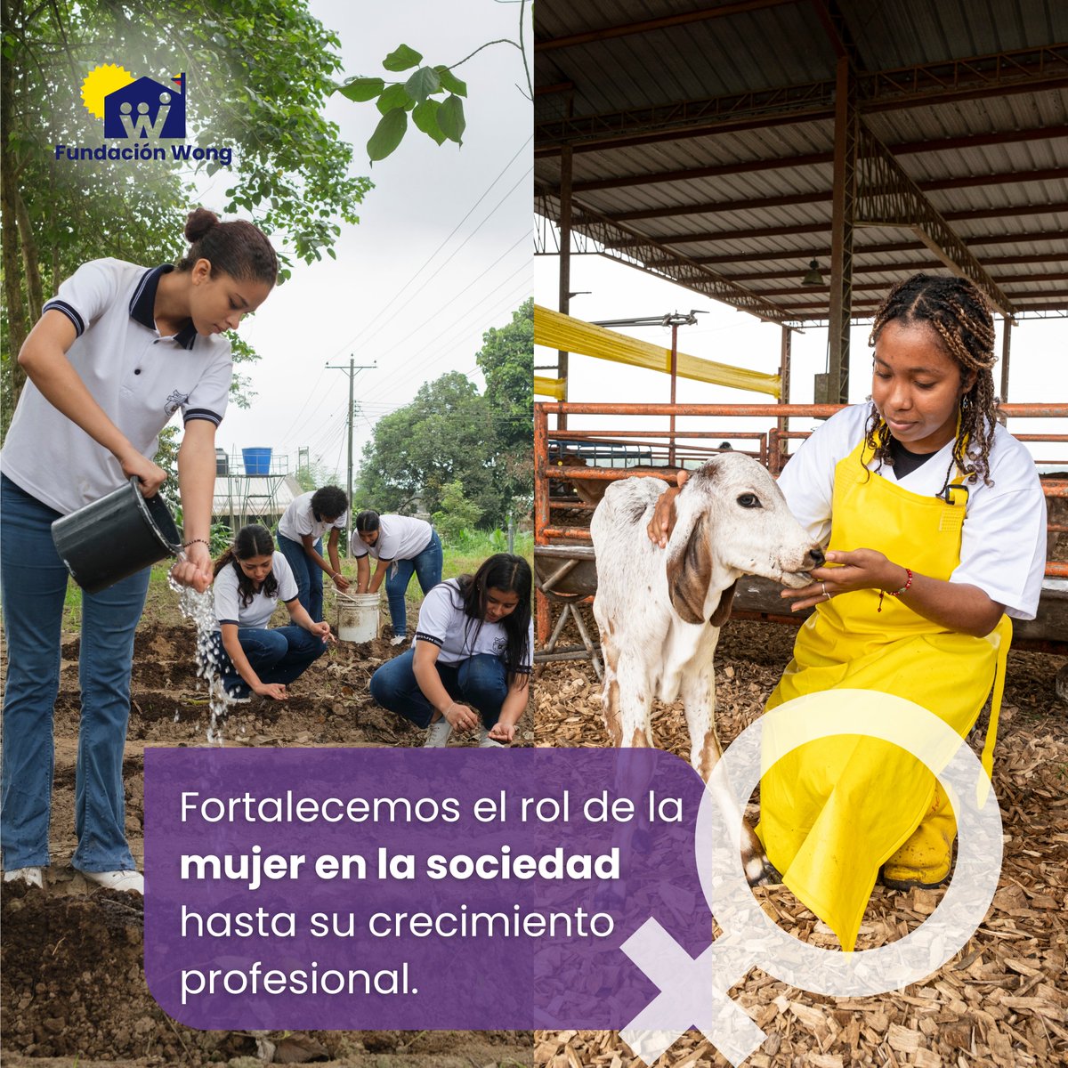 Una sociedad equitativa se construye con mujeres fuertes. Trabajamos por el empoderamiento femenino desde la educación a temprana edad hasta su crecimiento profesional. Estamos convencidos del impacto de la mujer en el desarrollo y sector rural
#8M #DíaDeLaMujer #Empoderamiento