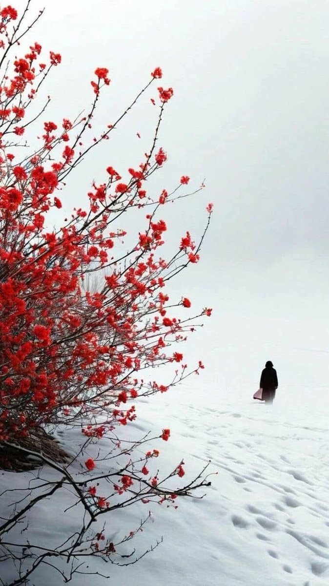 "Yaşamın her alanında direnen
      tüm Kadınlara  Selam olsun..."📚🕊️
 ✌
#8MartDünyaEmekçiKadınlarGünü