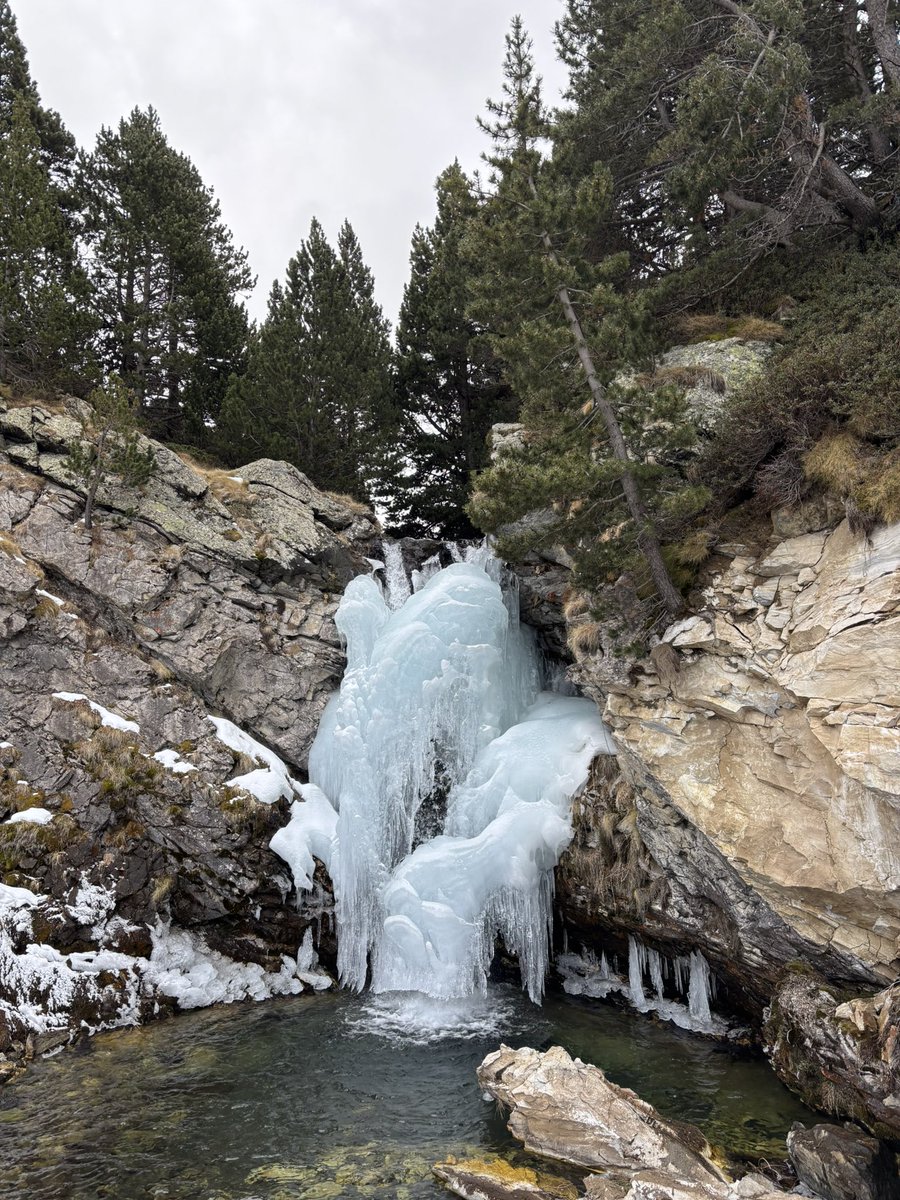 PyrenesRepublic's tweet photo. ❄️⛰️ https://t.co/CVSl7W0T0b