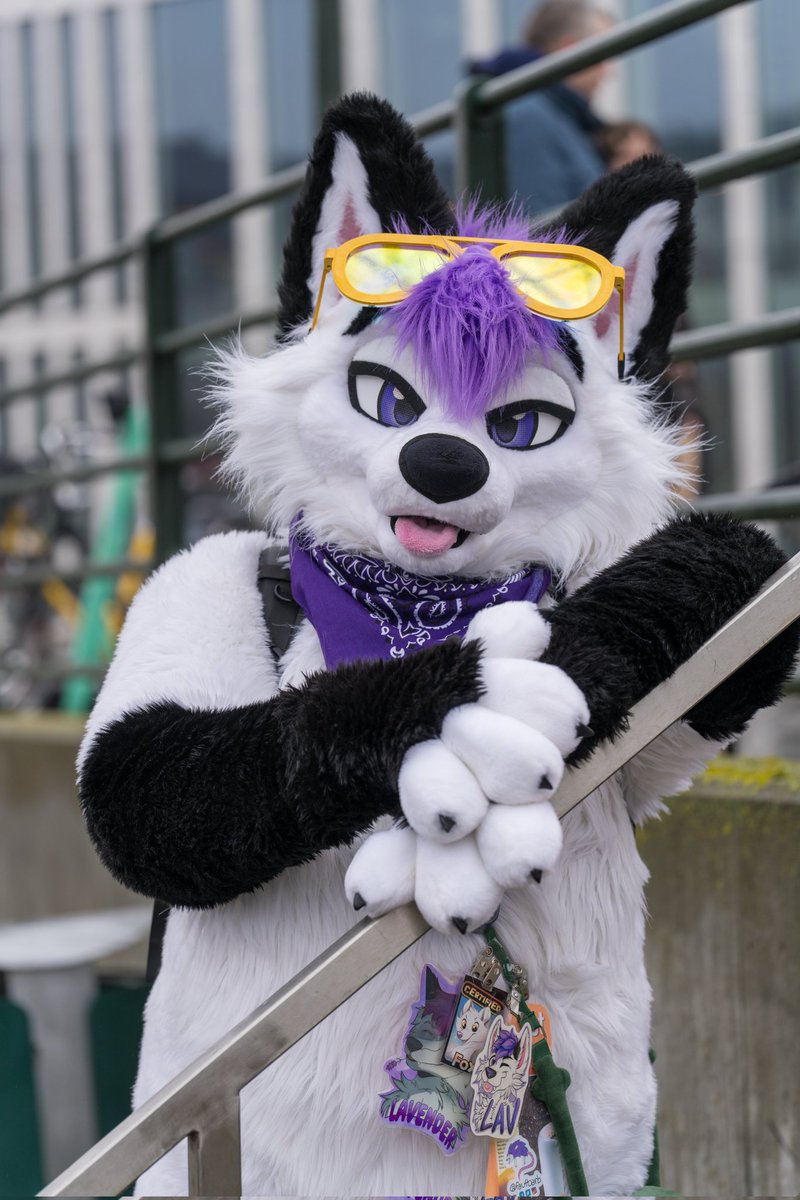 Why do you keep looking at me? 😉
#FursuitFriday
📷 <a href="/MysticalWoof/">Mystic</a>