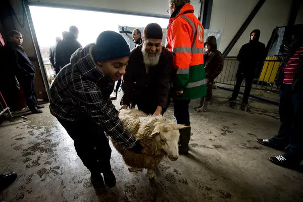 Petition: Ban non-stun slaughter in the UK

"In modern society, we believe more consideration needs to be given to animal welfare &amp; how livestock is treated &amp; culled.

"We believe non-stun slaughter is barbaric &amp; doesn't fit in with our culture &amp; modern-day values &amp; should be