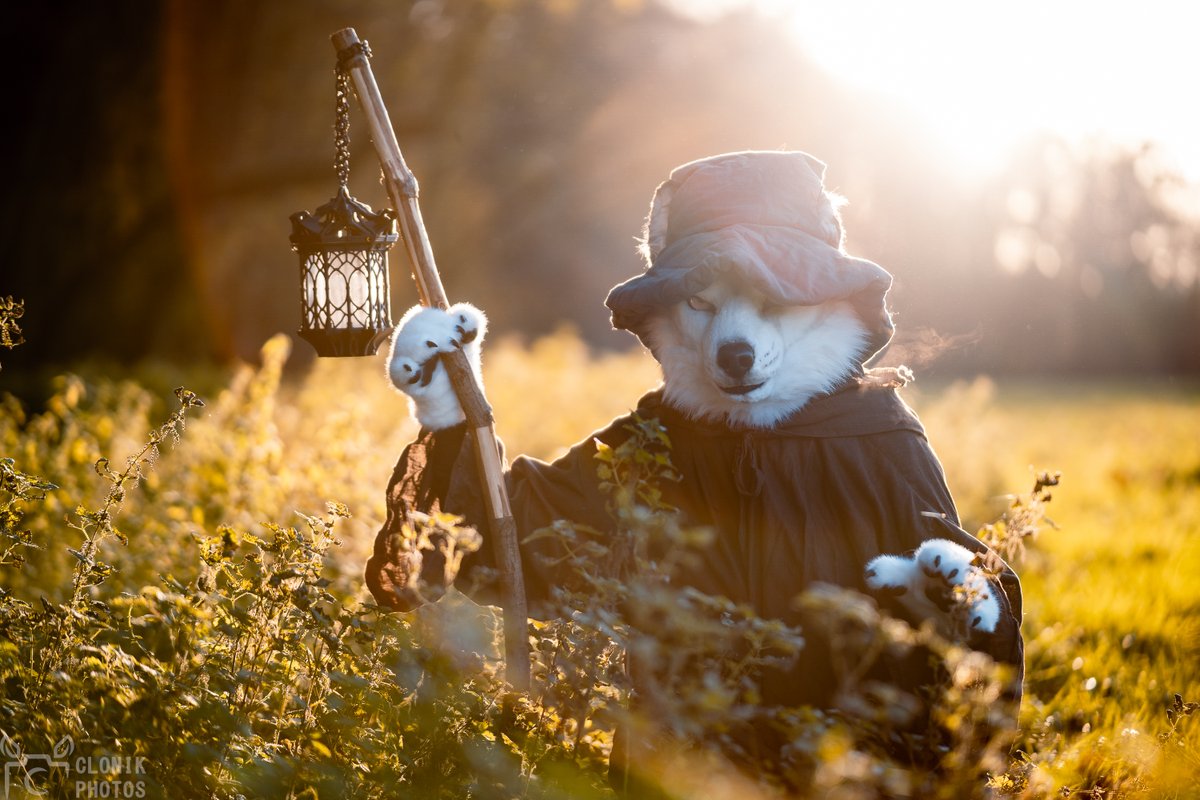 Getting ready to brew some potions

#FursuitFriday

📷 <a href="/cloniksphotos/">Clonik</a> 
🧵 <a href="/DireCreatures/">DireCreatures</a> 

(previous post was wrongly credited, sorry)