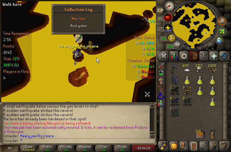 Rock Golem 44.5m exp