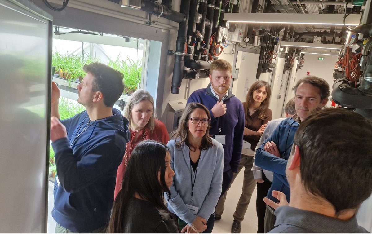 Frédéric Suffert (@wheatpath) on Twitter photo Pleased to host the second annual meeting of the <a href="/WheatSecurity/">WheatSecurity</a> project, funded by <a href="/FACCEJPI/">@faccejpi</a> <a href="/suscrop/">SusCrop ERA-NET</a>, on March 6-7, 2025 <a href="/INRAE_IDF/">INRAE Île-de-France</a> #BIOGER: presentations on project results and tour of our facilities with <a href="/doohancropslab/">Doohancropslab</a> <a href="/_Rosemount/">UCD Rosemount</a> <a href="/De_Barabaschi/">Delfina Barabaschi</a>
<a href="/kildea1/">Steven Kildea</a> <a href="/CathalMc1993/">Cathal Mc Cabe</a> et al. Pleased to host the second annual meeting of the <a href="/WheatSecurity/">WheatSecurity</a> project, funded by <a href="/FACCEJPI/">@faccejpi</a> <a href="/suscrop/">SusCrop ERA-NET</a>, on March 6-7, 2025 <a href="/INRAE_IDF/">INRAE Île-de-France</a> #BIOGER: presentations on project results and tour of our facilities with <a href="/doohancropslab/">Doohancropslab</a> <a href="/_Rosemount/">UCD Rosemount</a> <a href="/De_Barabaschi/">Delfina Barabaschi</a>
<a href="/kildea1/">Steven Kildea</a> <a href="/CathalMc1993/">Cathal Mc Cabe</a> et al.