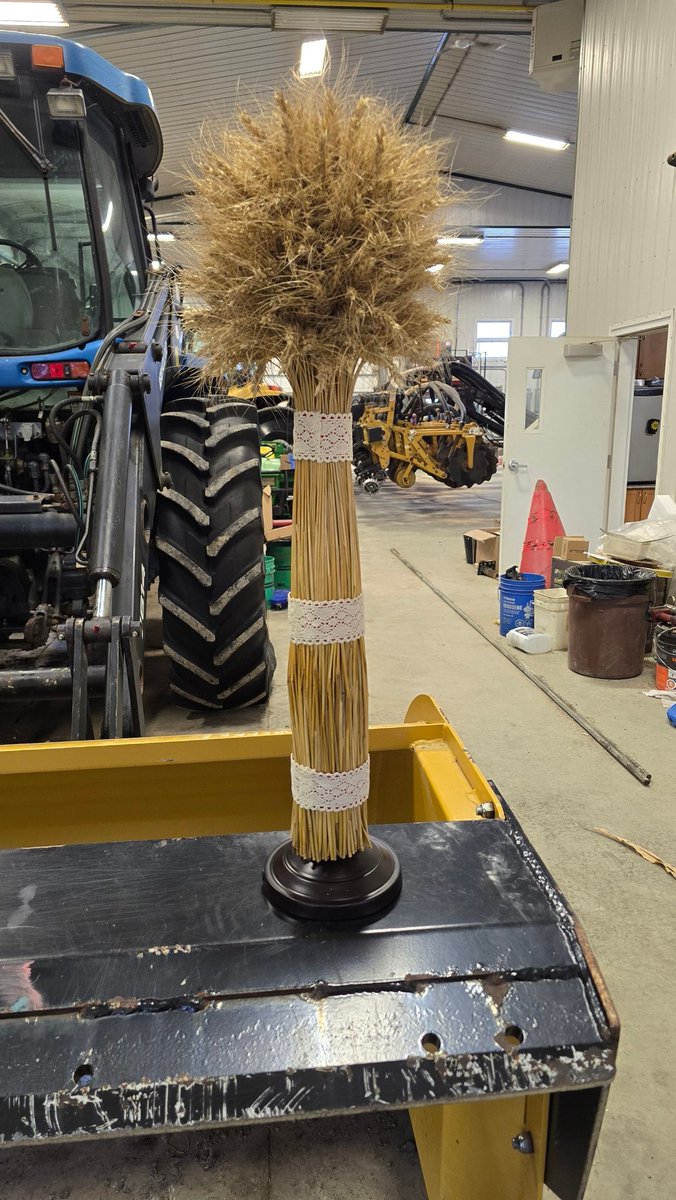 Tremendous grain quality this year.   Nice to win the bin run competition in dundas county.   We'll see how we fair in ottawa next week at the big show.  Great turn out at the dscia seed show.   Thanks to all who made it a huge success again in 2025.  #ontag