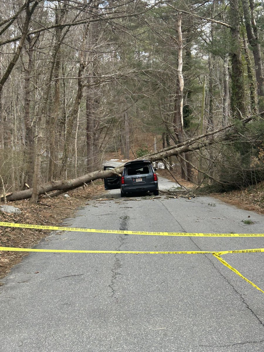 Wayland Fire tweet media