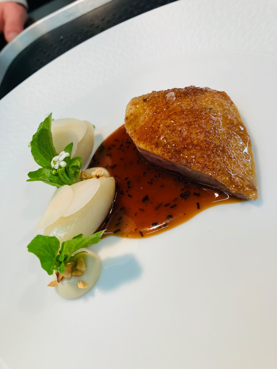 Aged Anjou pigeon, jerusalem artichoke, toasted hazelnut, watercress, sauce Périgourdine
