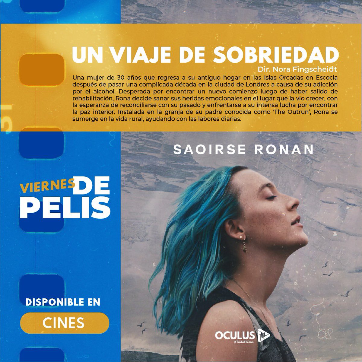 Oculus Todo El Cine tweet media