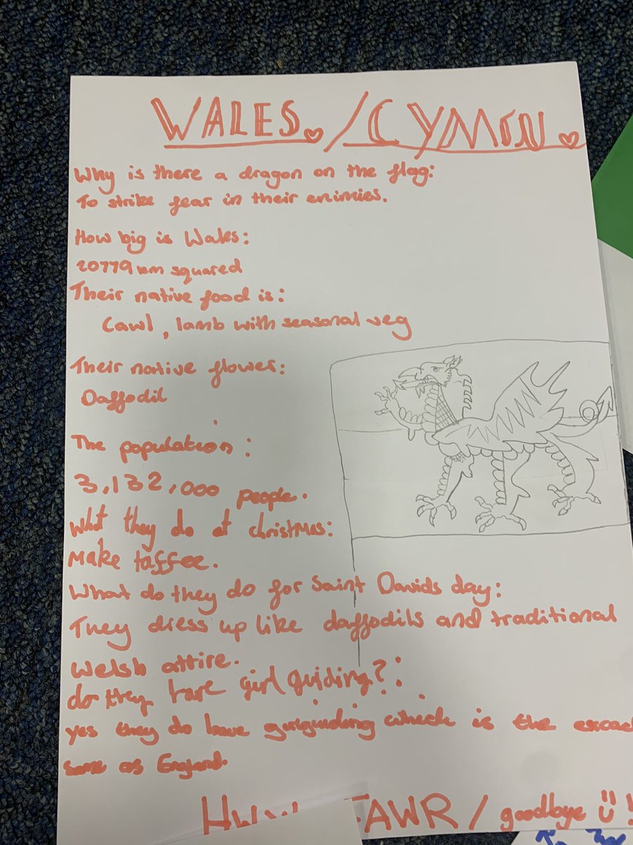 3rd Burgess Hill Brownies tweet media