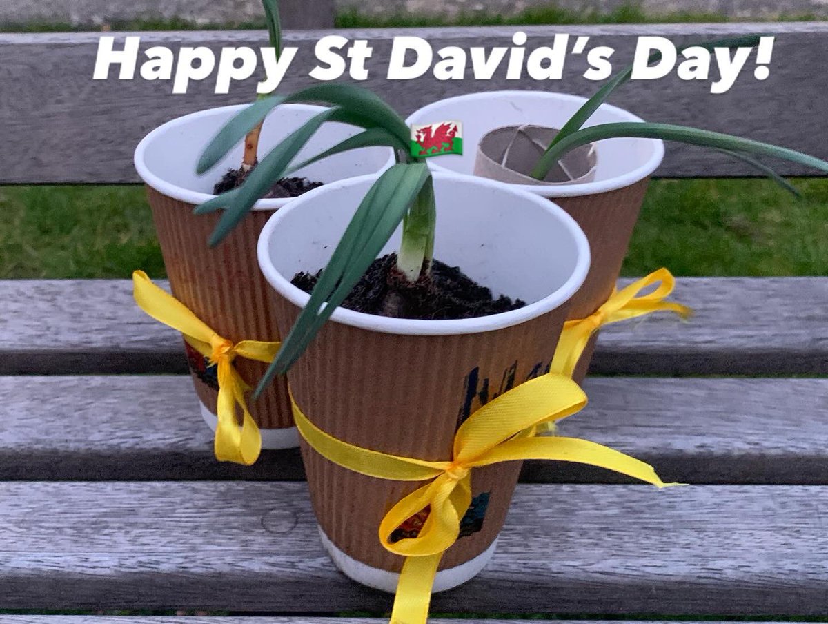 3rd Burgess Hill Brownies tweet media