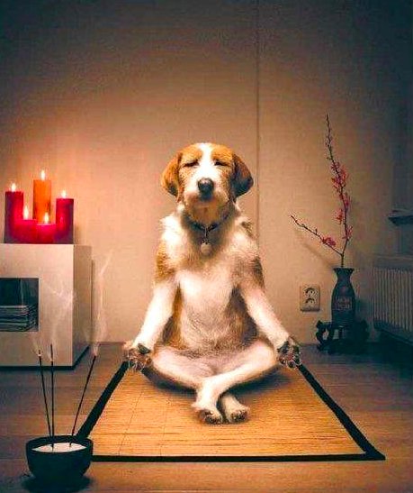 Br¡sK🍋 tweet media