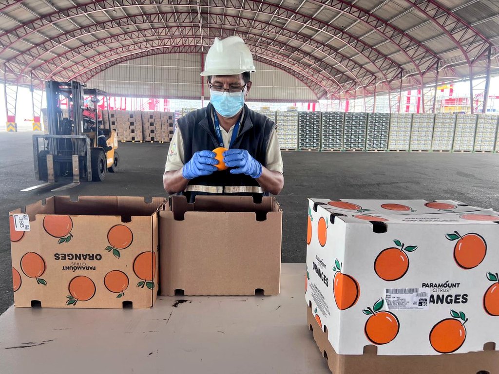 AgrocalidadZ7's tweet photo. #ElOro | Realizamos inspección fitosanitaria a productos vegetales de importación (naranja) y artículos reglamentados  con el fin de prevenir el ingreso de plagas cuarentenarias, en el punto de control marítimo Puerto Bolívar. #ExportamosCalidad https://t.co/npRNgkvsNT