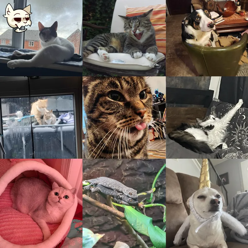 So you know about Serious Point Games, but have you heard of Serious Point Pets?  

Here's some of our team members adorable friends!

#indiegamedev #gamedev #pets #ratemypet #indiegame #indiedev #indierevolution #gamedevelopment