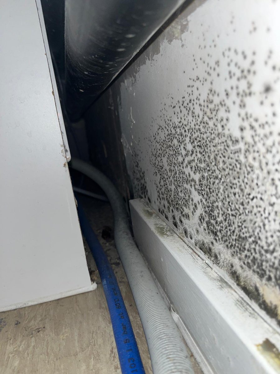 Nicola 🌷 tweet media