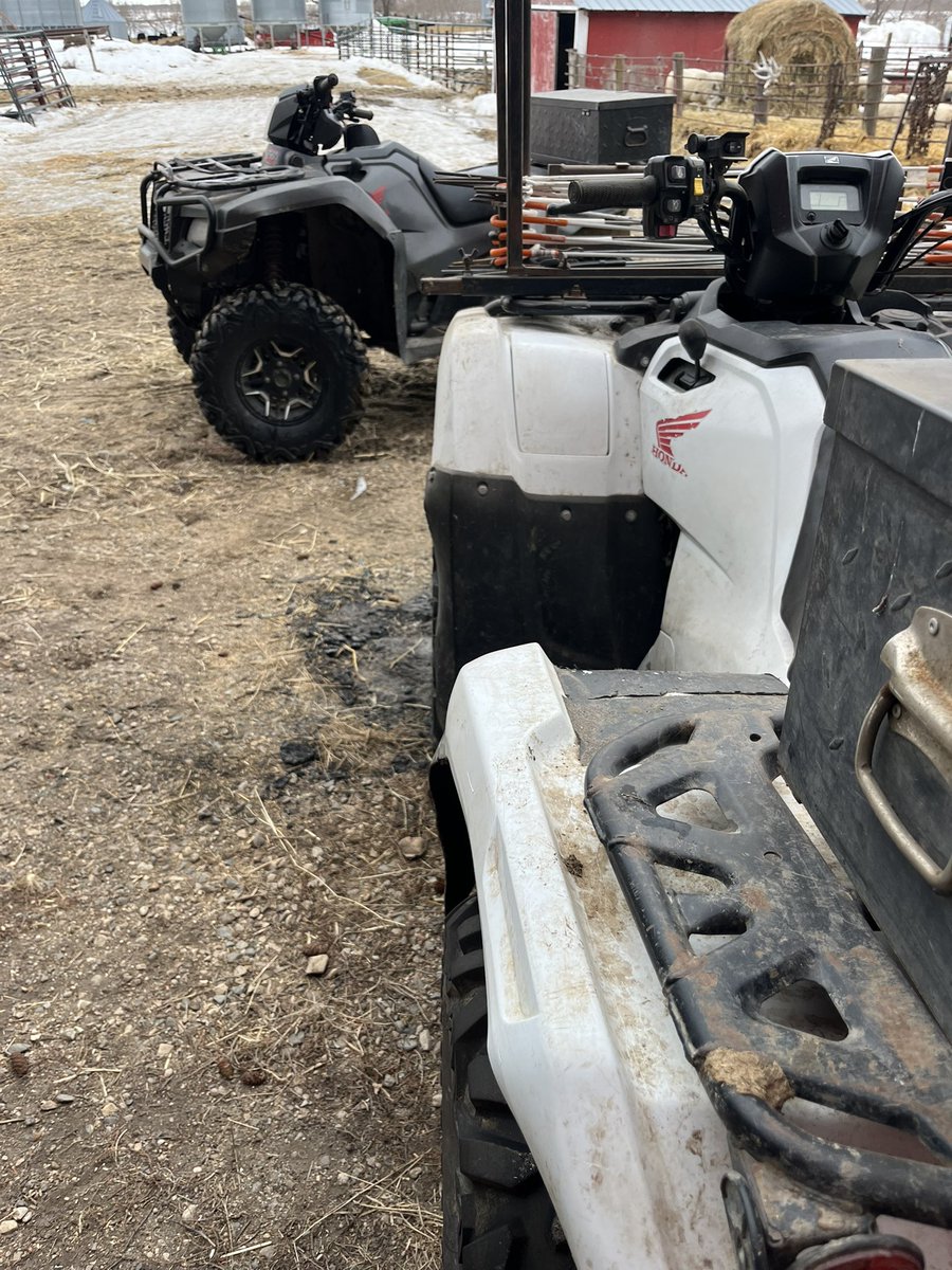 GBT ANGUS tweet media