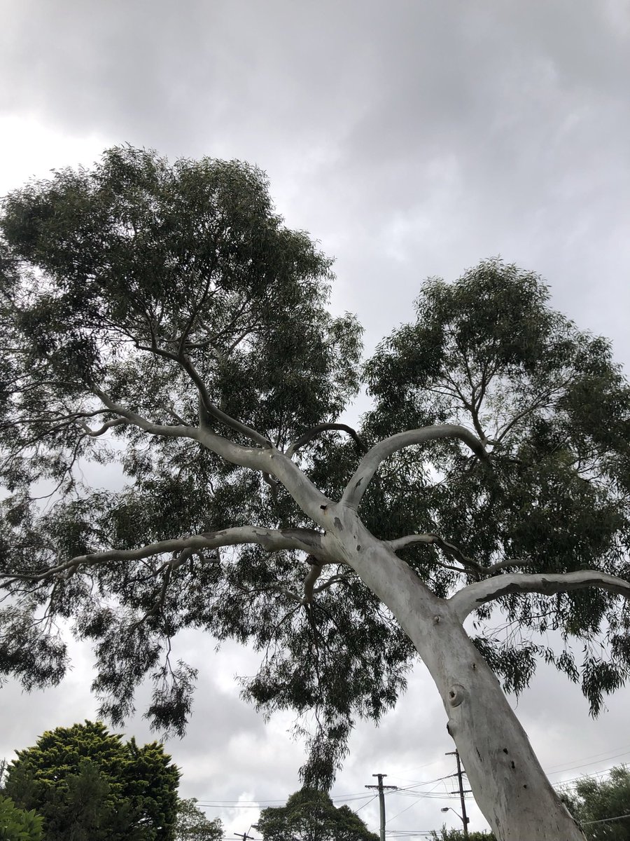 GMP 🌳 moves into 3rd round at the Indian Wells Masters 2025