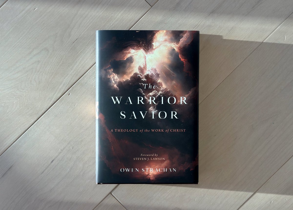 ostrachan's tweet image. The cultural Jesus is a really, really nice guy. He doesn't do much besides cheer you on.
The biblical Jesus is WAY BETTER. He is incredibly kind, astonishingly brave, and a warrior-savior who fights for his people.
Order "The Warrior Savior": amazon.com/Warrior-Savior…