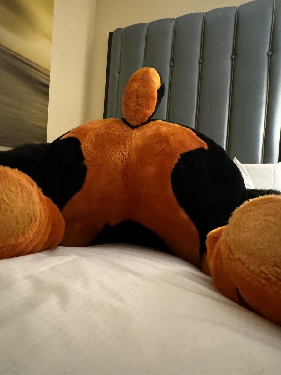 Xamorus Dobe (@xamorus) on Twitter photo Nub π Nub π