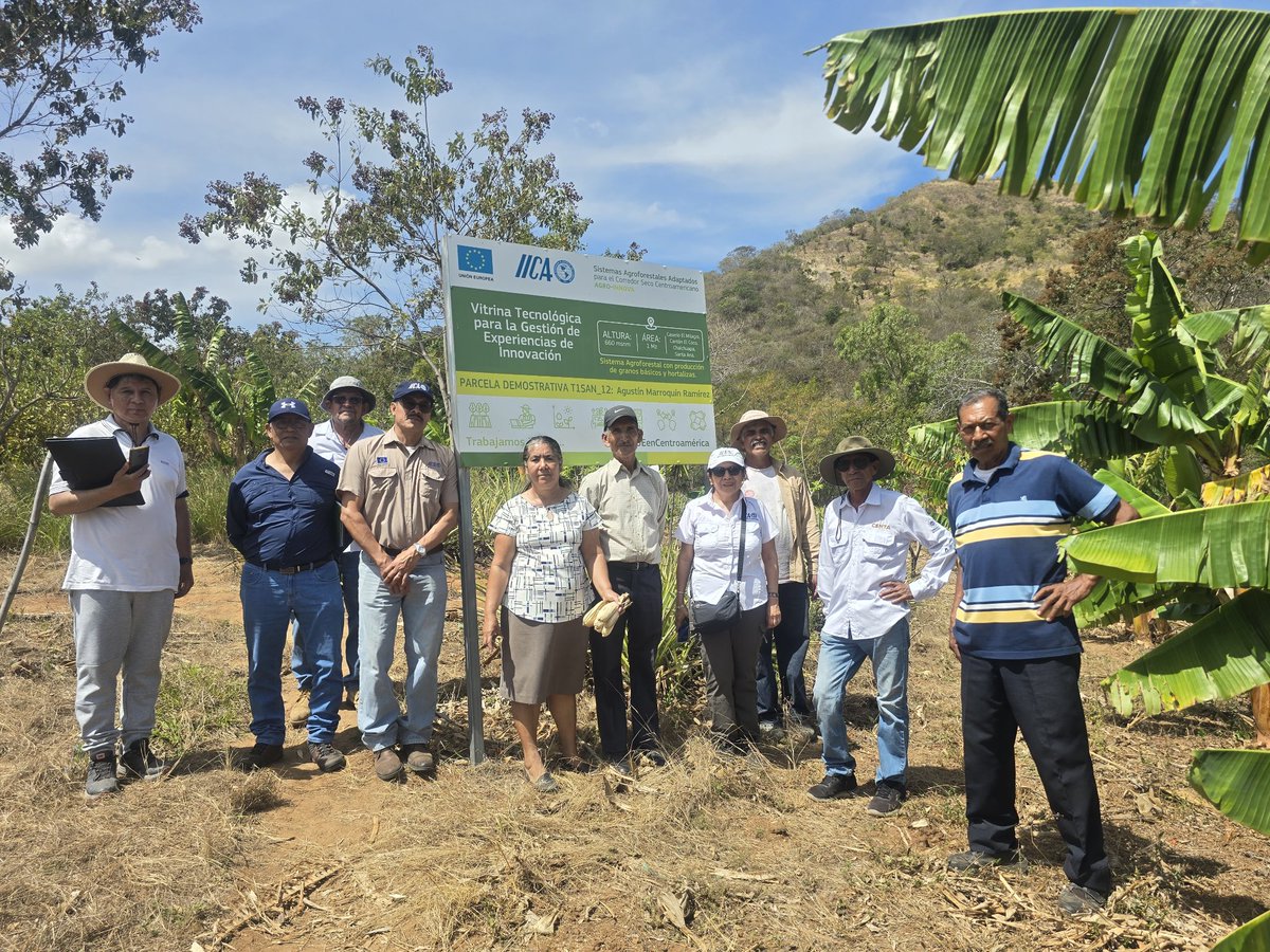 iica_sv's tweet photo. En esta gira contamos con la presencia de Doña María Febres @mariafebres2 Representante de IICA en Costa Rica #AGROINNOVA #SAFM @IICAnoticias @IICA_Costa_Rica https://t.co/TzDANOQJiw