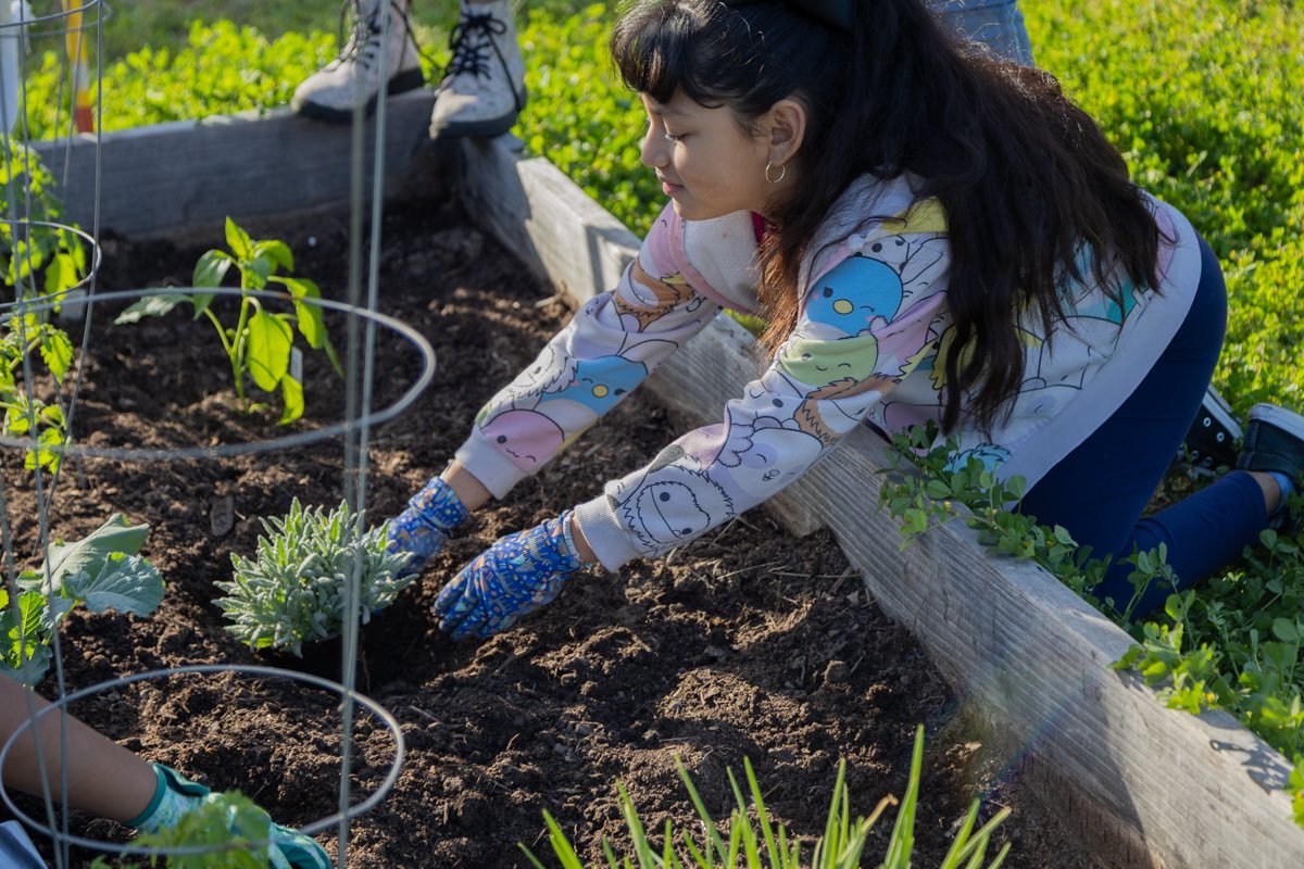 👩🏾‍🌾Yesterday was Planting Day for the FCE Garden Club …. 🎉

Save The Date: 
FCE Farmers Market 
4/11/25 
4:00p.m. - 6:30 p.m. 
<a href="/HumbleISD_FCE/">Fall Creek Elem</a> 
<a href="/HumbleISD/">Humble ISD</a> 
<a href="/Nisha_Oyeniyi/">Tannisha Oyeniyi</a> 
<a href="/Humble_Science/">Humble ISD Elementary Science</a>
