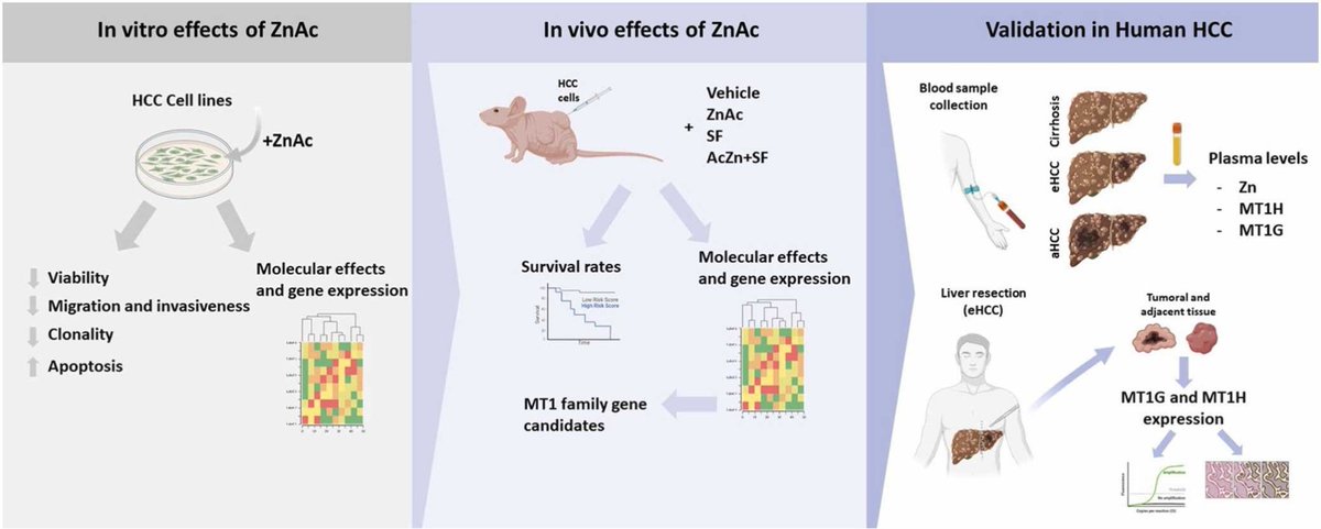 Beatriz Mínguez tweet media