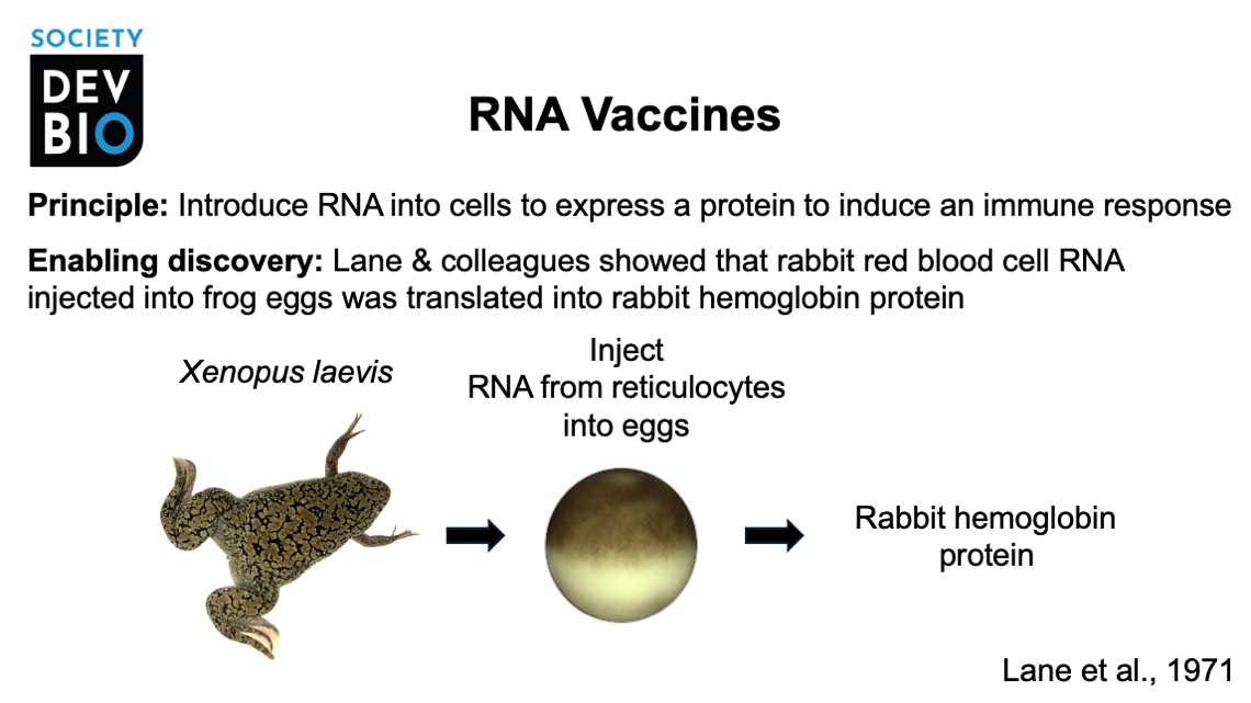 Richard Behringer tweet media