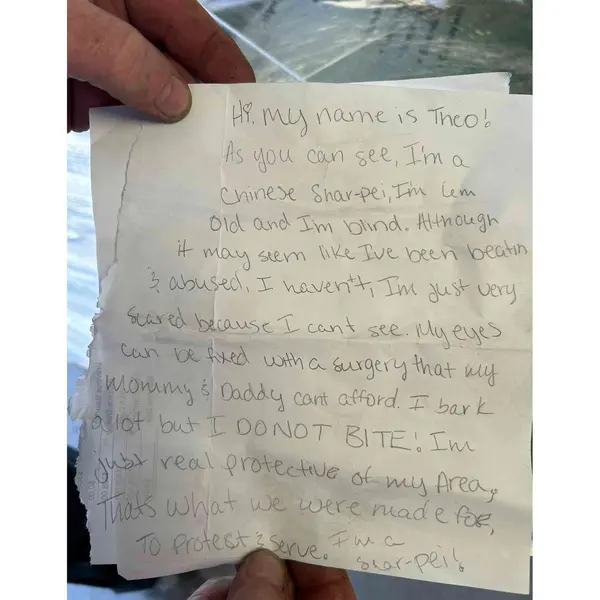 welovecuddly's tweet photo. We just received the saddest case 💔 This senior #SharPei - both blind and deaf was found frozen on a golf course. The most heartbreaking part? While his owners didn't have the time to take him to a shelter, they had the time to handwrite a note: https://t.co/boL0d7kH1S https://t.co/lXgHbyZNsw