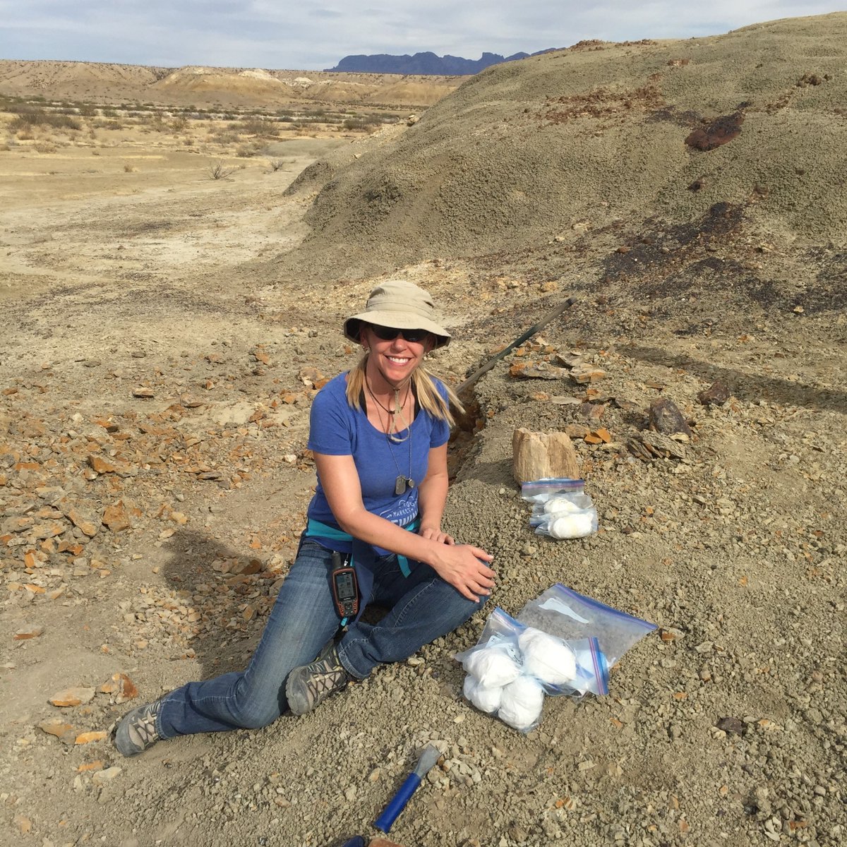 Royal Tyrrell Museum of Palaeontology tweet media