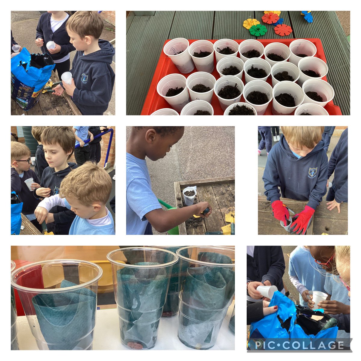 Will our plants grow?