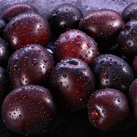 KorbaApp's tweet photo. Plums are low in calories, with about 30 calories per fruit, and are a good source of vitamins A and C, potassium, and dietary fiber. 

Add it to your grocery list on https://t.co/81Y12I6Grx now! https://t.co/1zeGxYJTXh