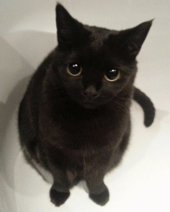 도경스 보고싶다