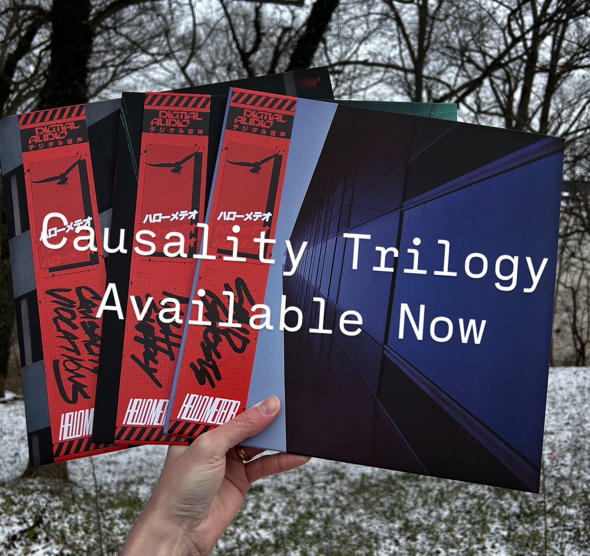 eyewitnessrecs's tweet photo. @hello__meteor Wave III: The Causality Trilogy is on vinyl and available now! 🕊️🦅🦆🦜🦢 link in bio https://t.co/Gb9rSBxQ33