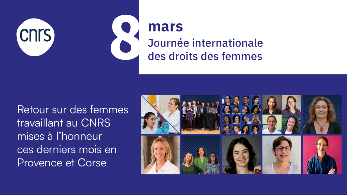 ✊ ‍♀️ 👩‍🦳#8mars | À l'occasion de la #JournéeDesDroitsDesFemmes demain, découvrez 10 portraits de femmes travaillant au <a href="/CNRS/">CNRS 🌍</a> en Provence qui ont été mises à l'honneur et distinguées lors des derniers mois.